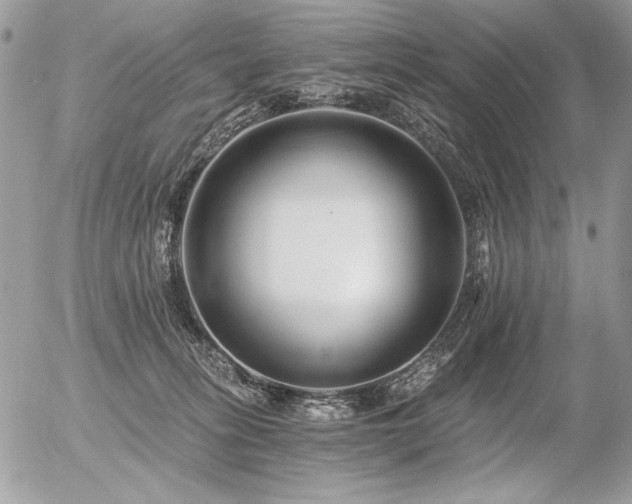 X0000056360275200508261345