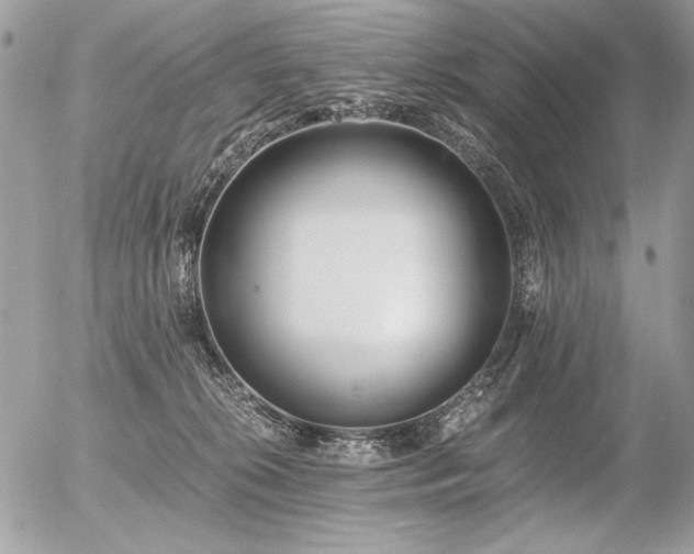 X0000056360276200508261345