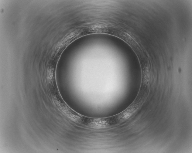 X0000056360278200508261345