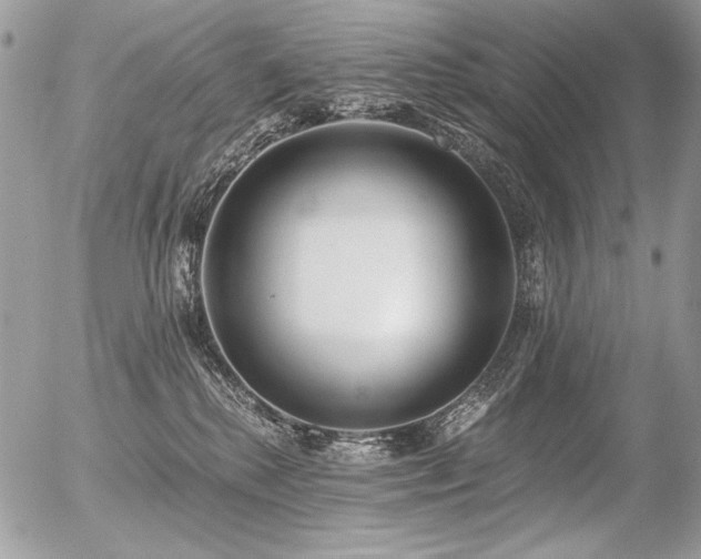 X0000056360280200508261345