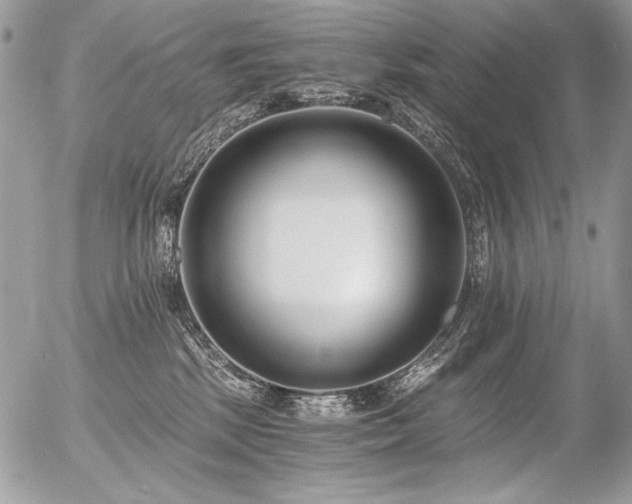 X0000056360281200508261345