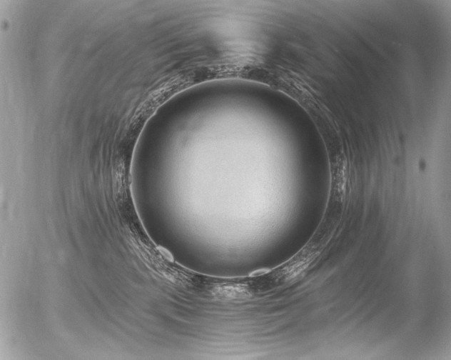 X0000056360283200508261345