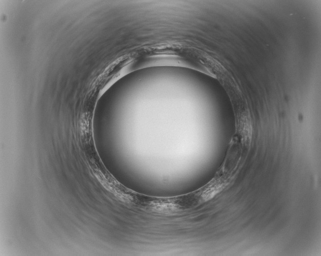 X0000056360284200508261345