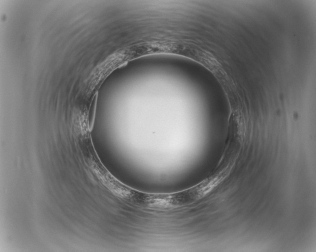 X0000056360285200508261345