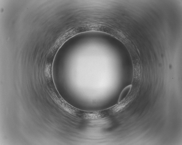 X0000056360286200508261345