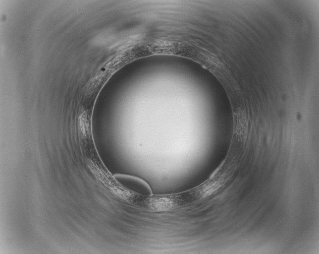 X0000056360287200508261345