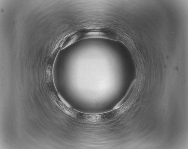 X0000056360288200508261345