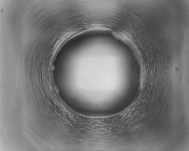 X0000056360289200508261344