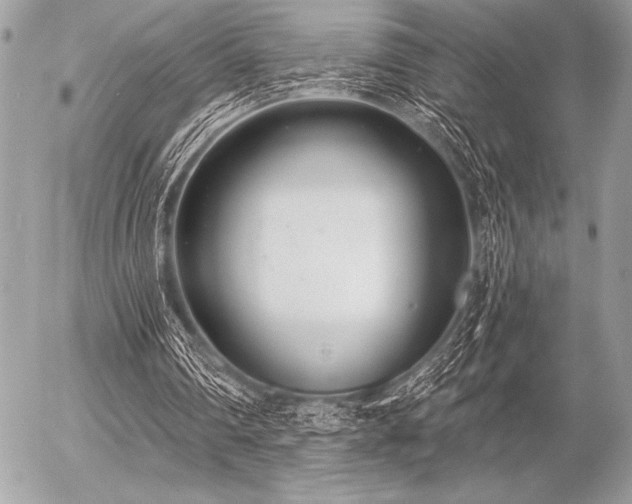 X0000056360290200508261344