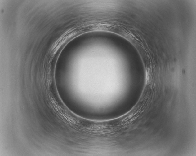 X0000056360291200508261344