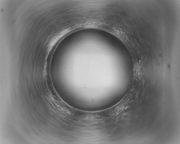 X0000056360292200508261344