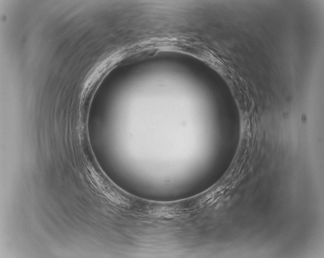 X0000056360293200508261344