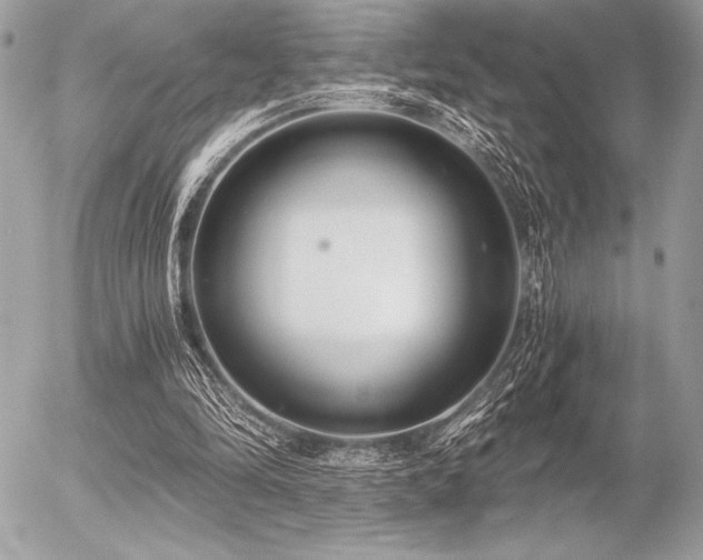 X0000056360294200508261344