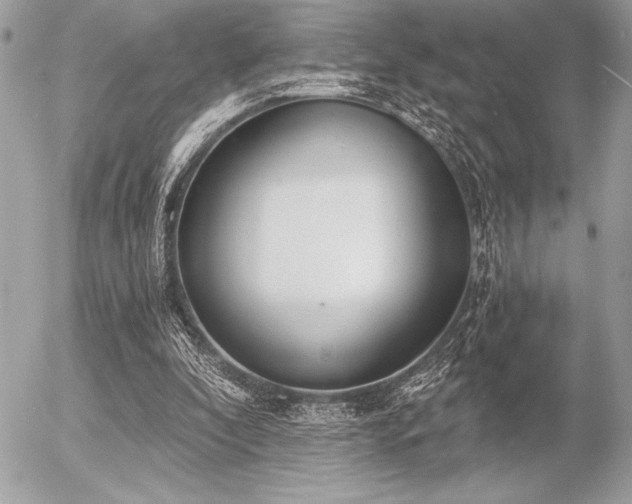 X0000056360296200508261344