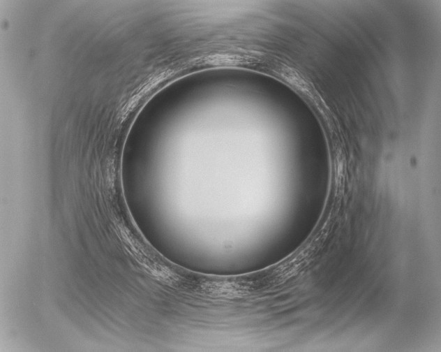 X0000056360297200508261344