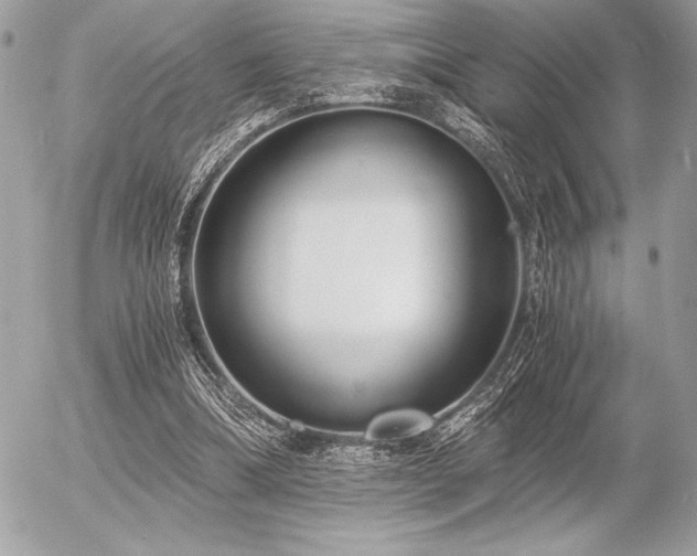 X0000056360298200508261344