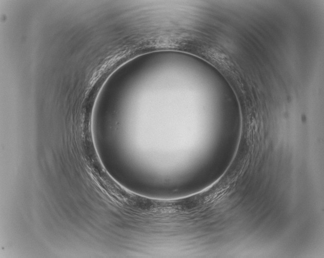 X0000056360299200508261344