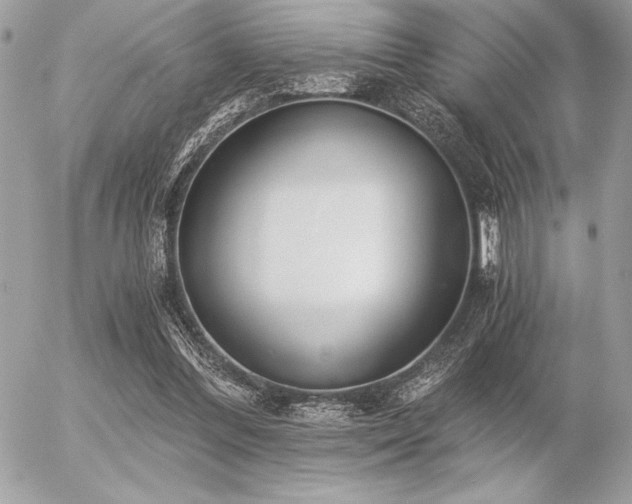 X0000056360300200508261344