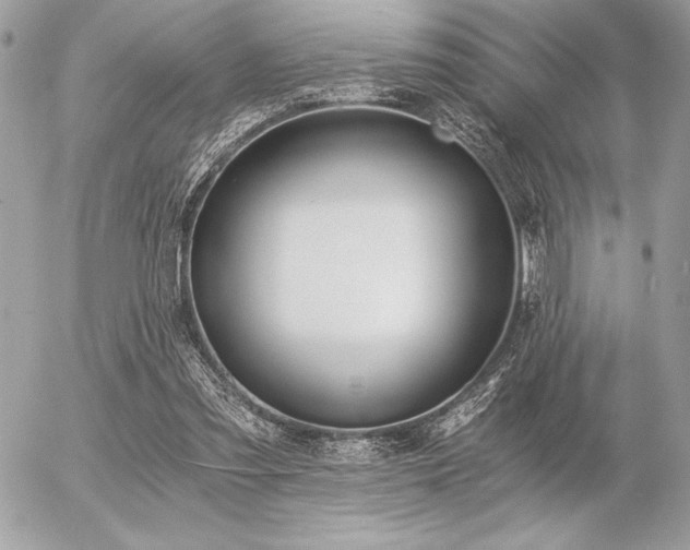 X0000056360301200508261344