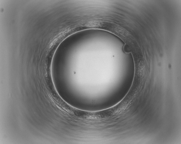 X0000056360303200508261344