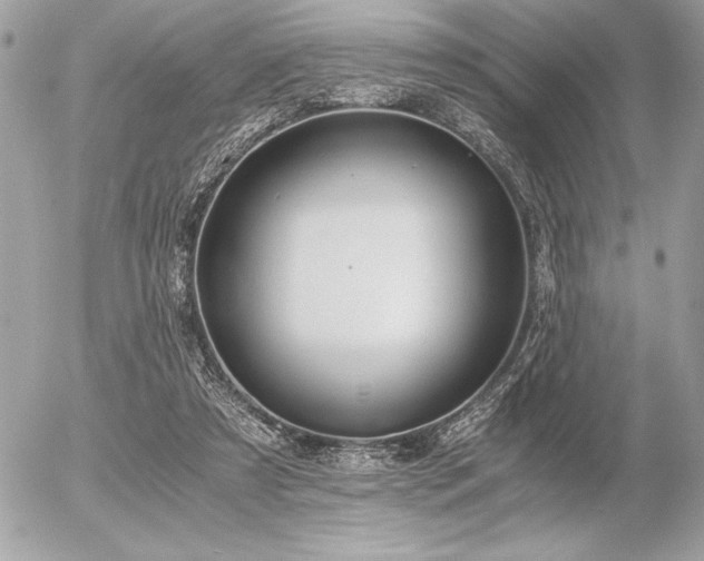 X0000056360305200508261344