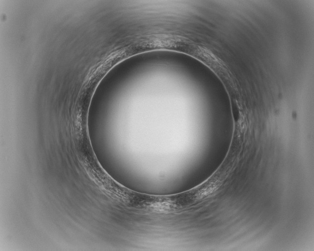 X0000056360306200508261344