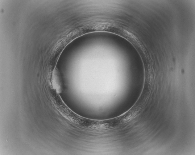 X0000056360307200508261344