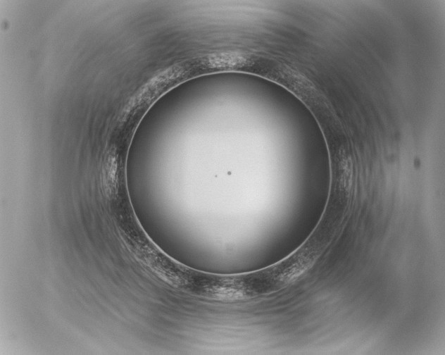 X0000056360308200508261344