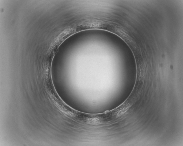 X0000056360309200508261344