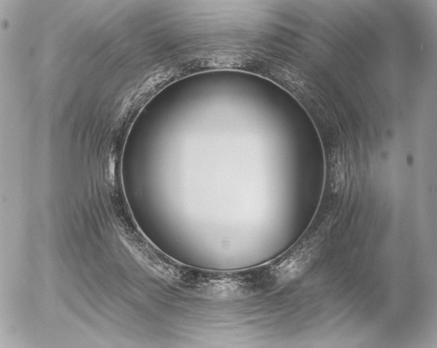 X0000056360310200508261344