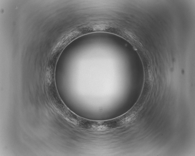 X0000056360311200508261344