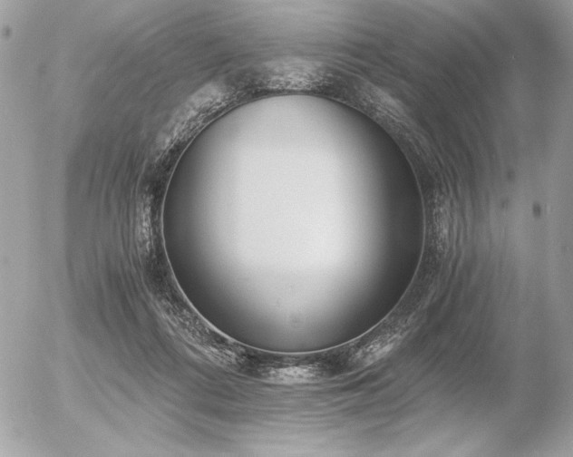 X0000056360312200508261344