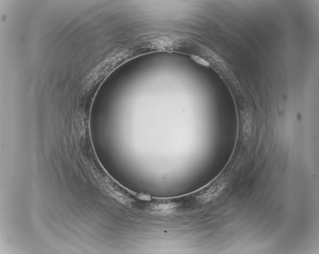 X0000056360313200508261344