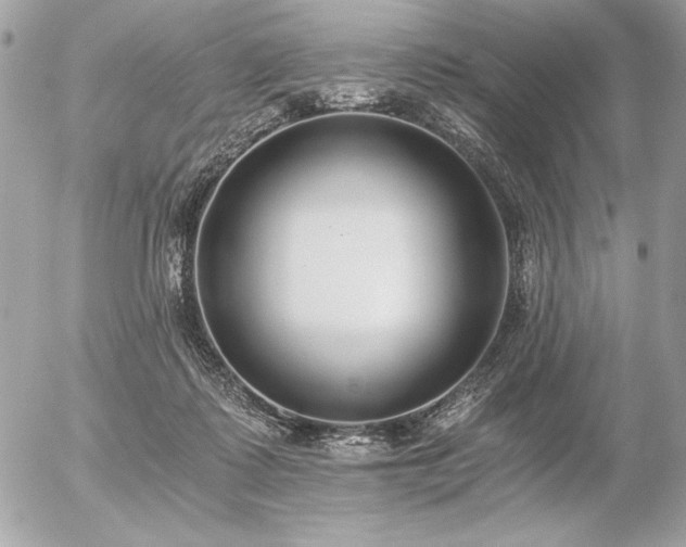 X0000056360315200508261344