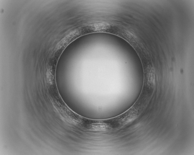 X0000056360316200508261344