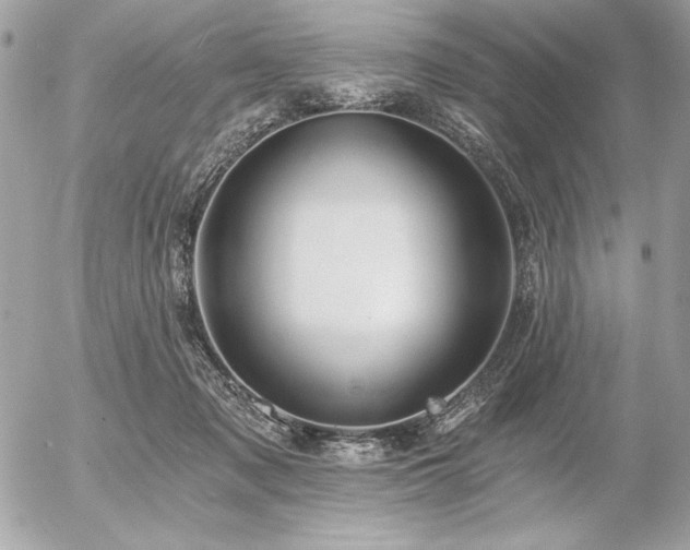 X0000056360317200508261344