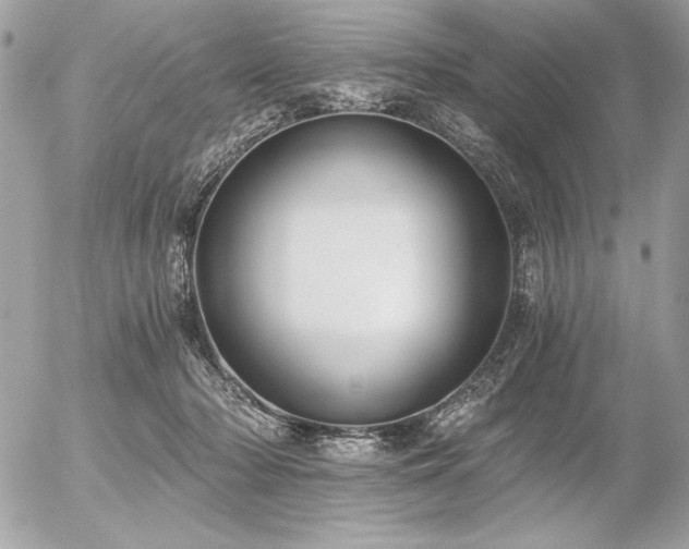 X0000056360318200508261344