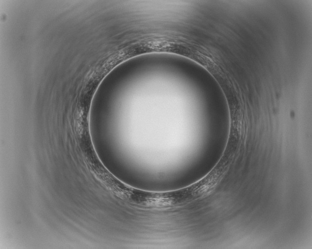 X0000056360319200508261344