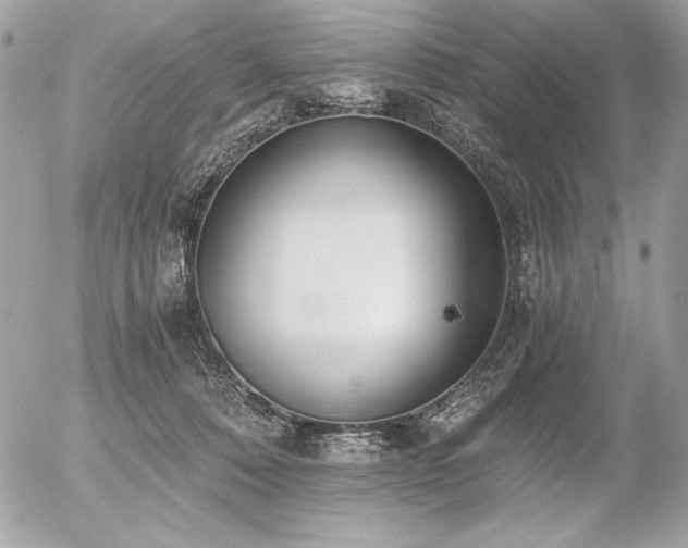 X0000056360320200508261344