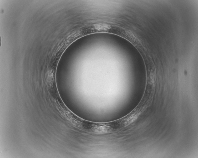 X0000056360321200508261344