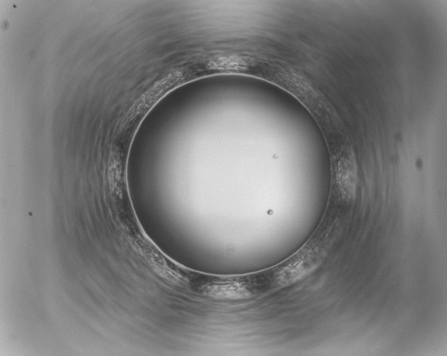 X0000056360322200508261344