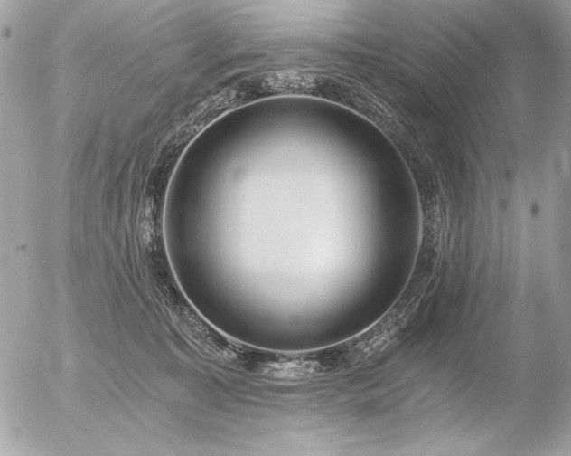 X0000056360323200508261344