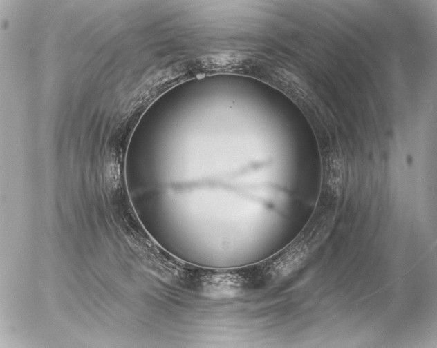 X0000056360324200508261344