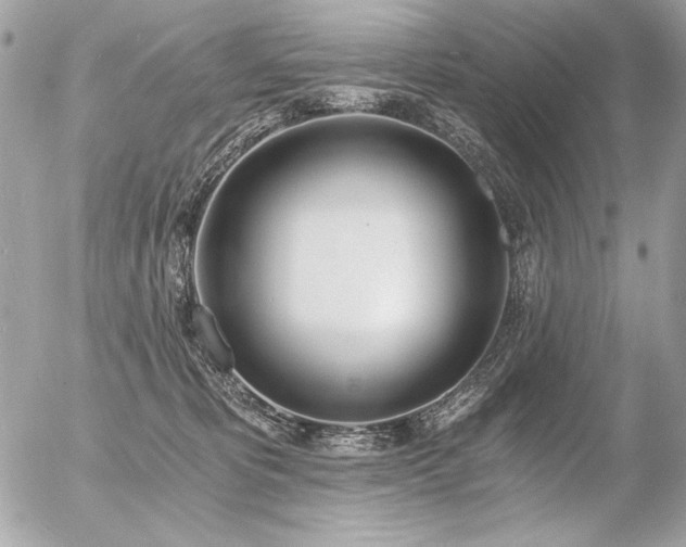 X0000056360325200508261344