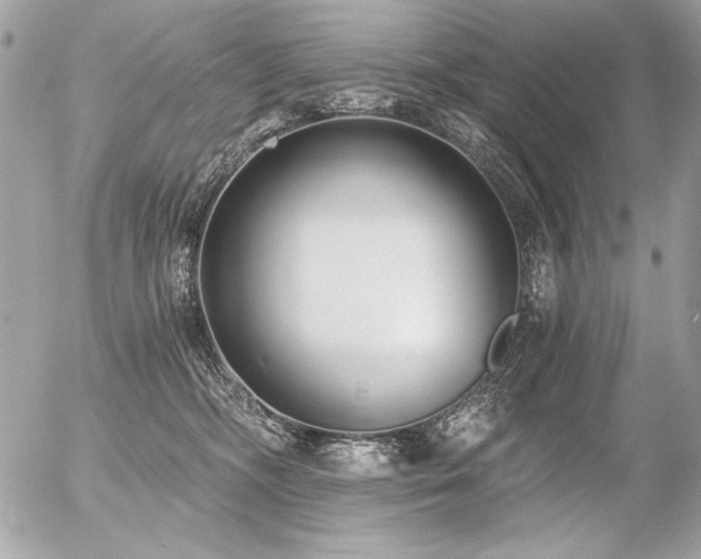 X0000056360326200508261344