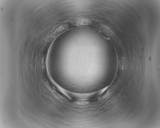 X0000056360327200508261344