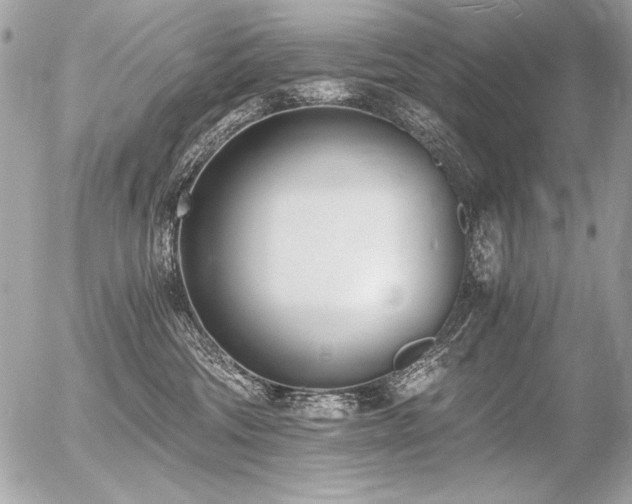 X0000056360330200508261344