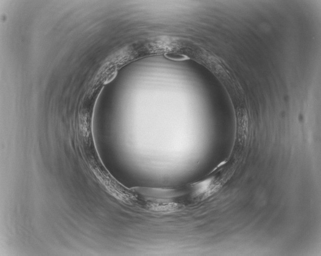 X0000056360331200508261344