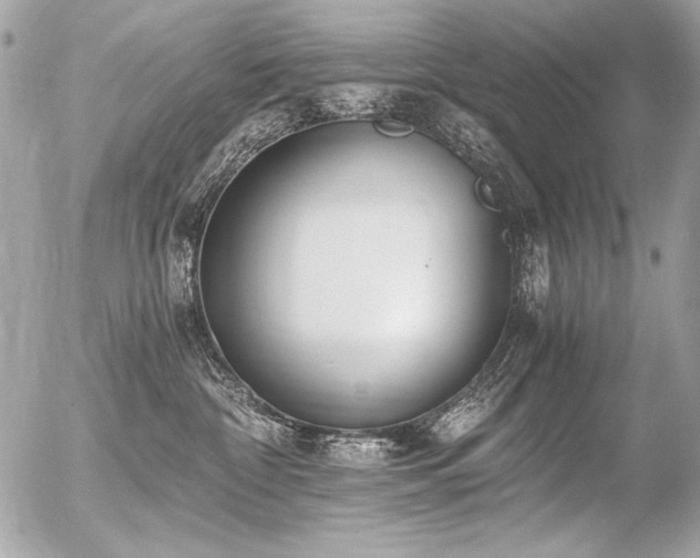 X0000056360332200508261344