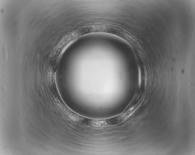 X0000056360333200508261344